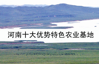 8月19日，河南省政府發(fā)布了關于深入推進農(nóng)業(yè)供給側(cè)結(jié)構(gòu)性改革 大力發(fā)展優(yōu)勢特色農(nóng)業(yè)的意見