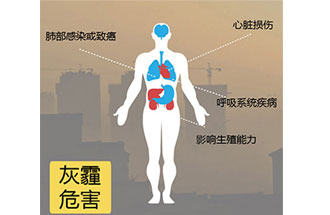 空氣中PM2.5 是由什么物質(zhì)組成的？