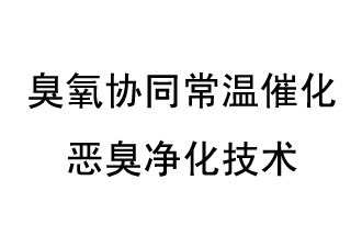 臭氧協(xié)同常溫催化惡臭凈化技術(shù)