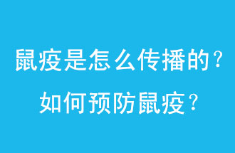 鼠疫是怎么傳播的？如何預(yù)防鼠疫？